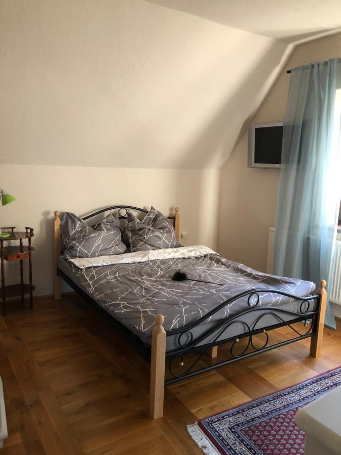Ferienhaus Mit Pool Zum Traeumen Und Entspannen Fuer Alle Sinne 바트 슈미데베르크 외부 사진